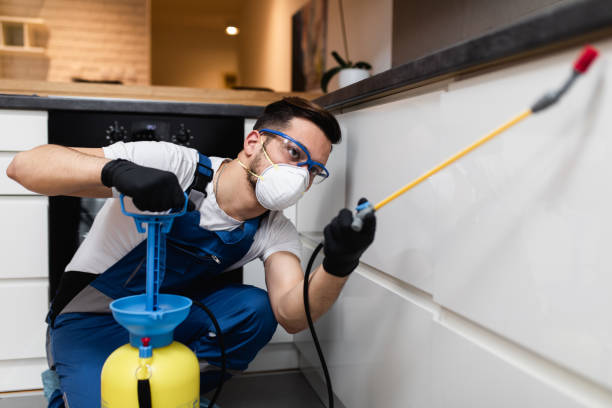 Best Pest Control Near Me in Goose Creek Village, VA