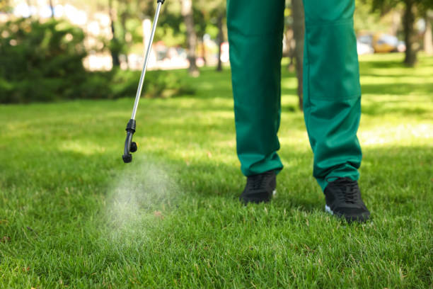 Professional Pest Control in Goose Creek Village, VA